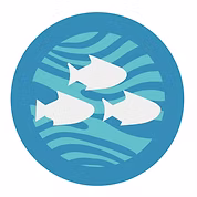 aitutki coral reef restoration eco friendly snorkel tours cook islands mike lee sustainable tourism